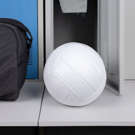 Волейбольный мяч Friday, белый Волейбольный мяч Friday, белый