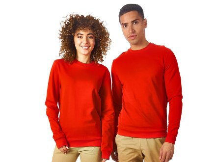 Свитшот Motion унисекс с начесом, красный Свитшот Motion унисекс с начесом, красный