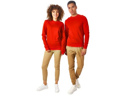 Свитшот Motion унисекс с начесом, красный Свитшот Motion унисекс с начесом, красный