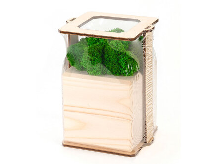 Композиция Мох в интерьере дерево, зеленый Композиция Мох в интерьере дерево, зеленый