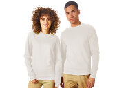 Свитшот Motion унисекс с начесом, белый Свитшот Motion унисекс с начесом, белый