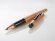 Ручка-роллер Selectip Cross Classic Century Brushed Rose Gold PVD, золотистый с нанесением логотипа