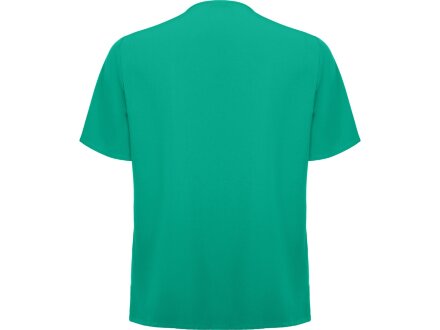 Рубашка мужская Ferox, нежно-зеленый Рубашка мужская Ferox, нежно-зеленый