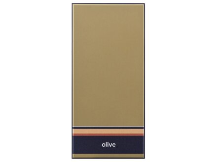 Внешний аккумулятор Rombica NEO ARIA WIRELESS OLIVE, оливковый