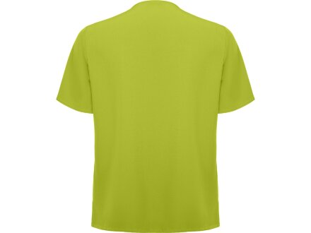 Рубашка мужская Ferox, фисташковый Рубашка мужская Ferox, фисташковый