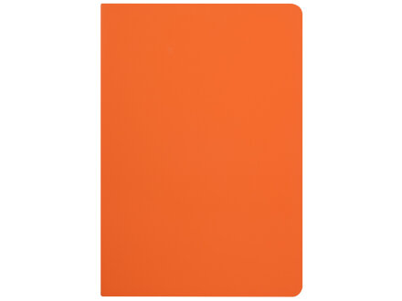 Бизнес-тетрадь А5 Pragmatic Contrast, 40 листов в клетку, оранжевый с темно-серым срезом