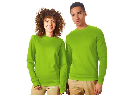 Свитшот Motion унисекс с начесом, зеленое яблоко Свитшот Motion унисекс с начесом, зеленое яблоко