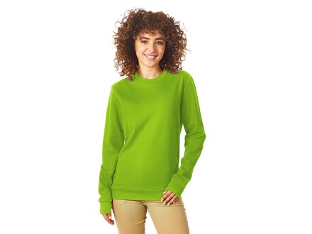 Свитшот Motion унисекс с начесом, зеленое яблоко Свитшот Motion унисекс с начесом, зеленое яблоко