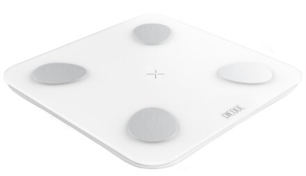 Умные диагностические весы Picooc Mini Lite White (6924917717339), белый Умные диагностические весы Picooc Mini Lite White (6924917717339), белый