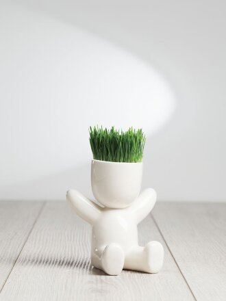 Набор для выращивания Funky Kid Набор для выращивания Funky Kid