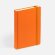 Ежедневник Favor, недатированный, оранжевый Ежедневник Favor, недатированный, оранжевый