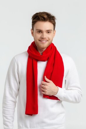 Шарф Life Explorer, красный (алый) Шарф Life Explorer, красный (алый)