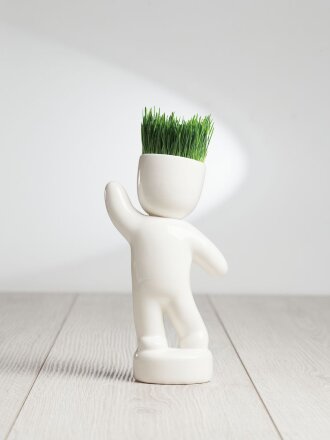 Набор для выращивания Funky Buddy Набор для выращивания Funky Buddy