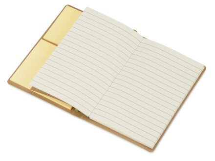 Набор стикеров А6 Write and stick с ручкой и блокнотом, зеленое яблоко (Р)