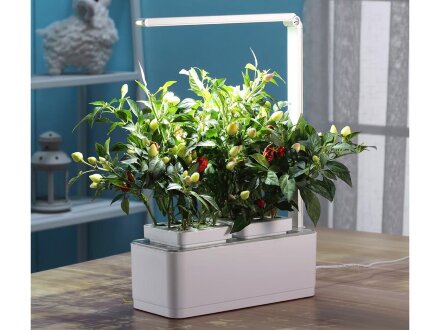 Компактный смарт-сад iGarden LED с подсветкой Компактный смарт-сад iGarden LED с подсветкой