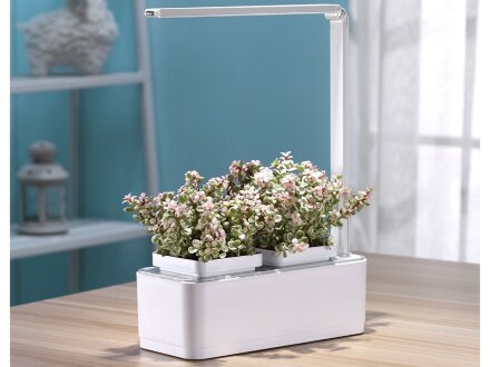 Компактный смарт-сад iGarden LED с подсветкой Компактный смарт-сад iGarden LED с подсветкой