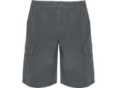 Шорты Armour, свинцовый Шорты Armour, свинцовый