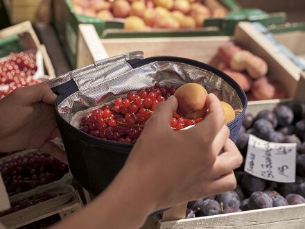 Термосумка Coolerbag S, синяя Термосумка Coolerbag S, синяя