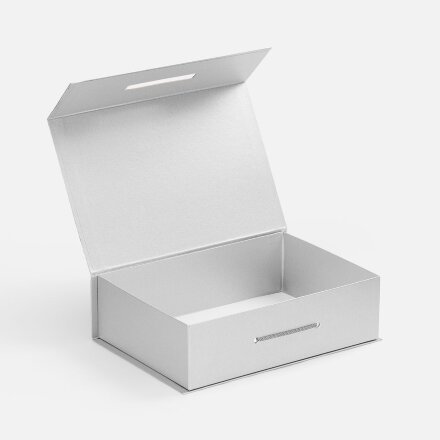 Коробка Case, серебристая Коробка Case, серебристая