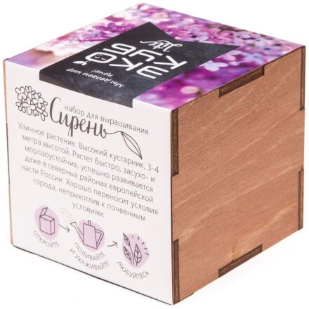 Набор для выращивания «Экокуб Lite», сирень Набор для выращивания «Экокуб Lite», сирень