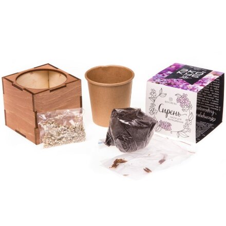 Набор для выращивания «Экокуб Lite», сирень Набор для выращивания «Экокуб Lite», сирень