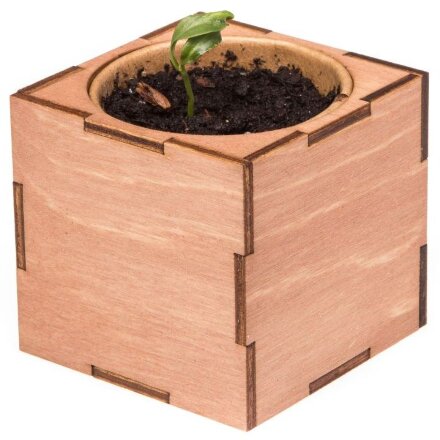 Набор для выращивания «Экокуб Lite», сирень Набор для выращивания «Экокуб Lite», сирень