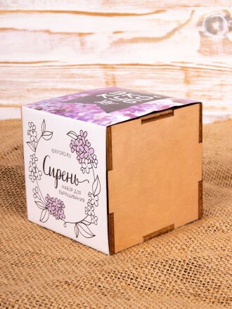 Набор для выращивания «Экокуб Lite», сирень Набор для выращивания «Экокуб Lite», сирень