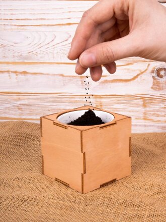 Набор для выращивания «Экокуб Lite», сирень Набор для выращивания «Экокуб Lite», сирень