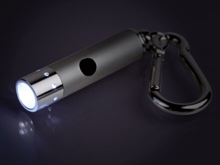 Брелок-фонарик Карабин, серебристый (Р) Брелок-фонарик Карабин, серебристый (Р)