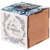 Набор для выращивания «Экокуб Lite», ель голубая Набор для выращивания «Экокуб Lite», ель голубая