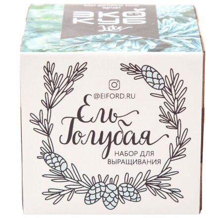 Набор для выращивания «Экокуб Lite», ель голубая Набор для выращивания «Экокуб Lite», ель голубая