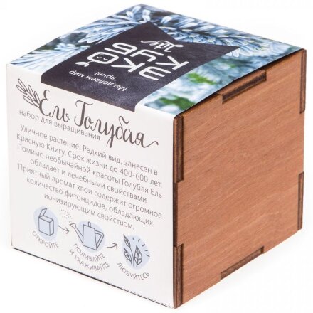 Набор для выращивания «Экокуб Lite», ель голубая Набор для выращивания «Экокуб Lite», ель голубая