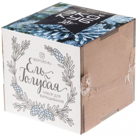 Набор для выращивания «Экокуб Lite», ель голубая Набор для выращивания «Экокуб Lite», ель голубая