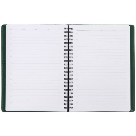 Ежедневник Spring Shall, недатированный, зеленый