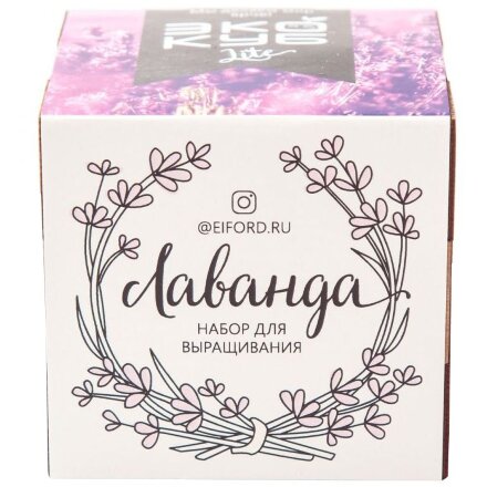 Набор для выращивания «Экокуб Lite», лаванда Набор для выращивания «Экокуб Lite», лаванда