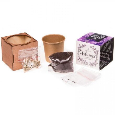 Набор для выращивания «Экокуб Lite», лаванда Набор для выращивания «Экокуб Lite», лаванда