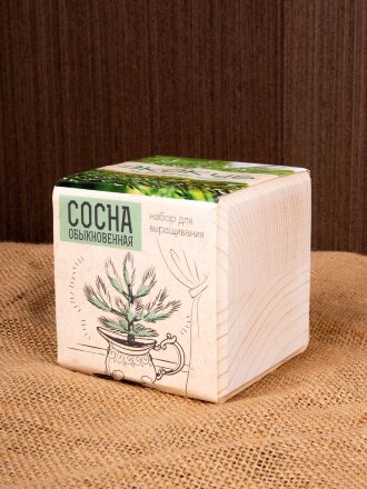 Набор для выращивания «Экокуб», сосна Набор для выращивания «Экокуб», сосна