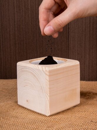 Набор для выращивания «Экокуб», сосна Набор для выращивания «Экокуб», сосна