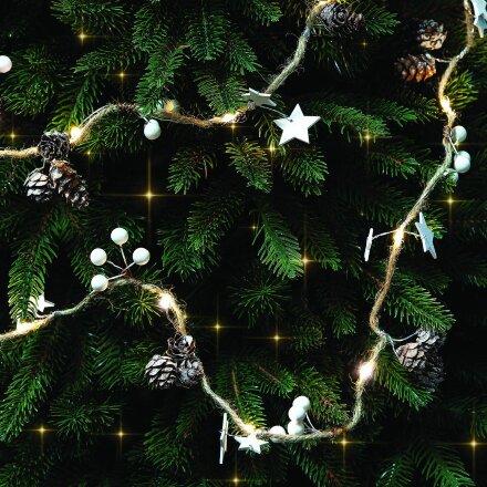 Светодиодная гирлянда Cones and Berries Светодиодная гирлянда Cones and Berries