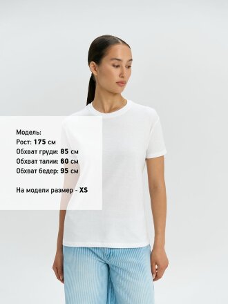 Футболка унисекс Regent 150, коричневая Футболка унисекс Regent 150, коричневая