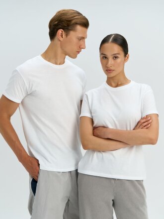 Футболка унисекс Regent 150, коричневая Футболка унисекс Regent 150, коричневая