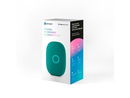 Умная колонка VK Капсула с голосовым помощником Марусей, зеленый Умная колонка VK Капсула с голосовым помощником Марусей, зеленый