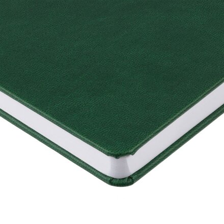 Ежедневник Base Mini, недатированный, зеленый Ежедневник Base Mini, недатированный, зеленый