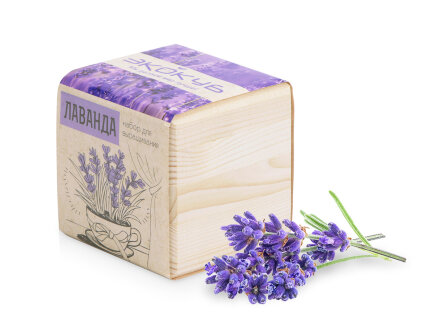 Набор для выращивания Экокуб Classic Лаванда Набор для выращивания Экокуб Classic Лаванда