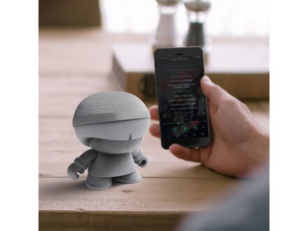 Портативная колонка X5 XOOPAR BOY STEREO, серебристый Портативная колонка X5 XOOPAR BOY STEREO, серебристый