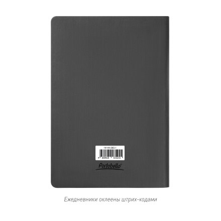 Ежедневник Rain недатированный, серый (без упаковки, без стикера)
