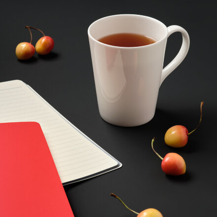 Кружка фарфоровая Vesta Кружка фарфоровая Vesta