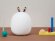 Светильник Rombica LED Pika