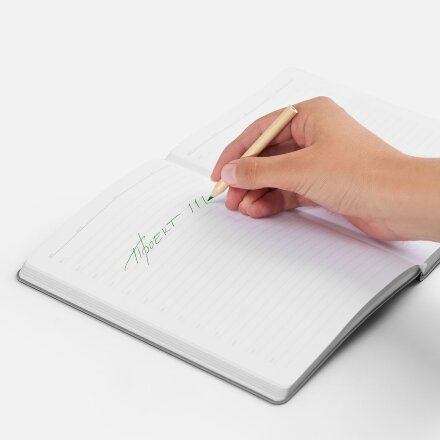 Набор цветных карандашей Pencilvania Mini, белый Набор цветных карандашей Pencilvania Mini, белый