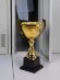 Кубок Spica, большой, золотистый Кубок Spica, большой, золотистый